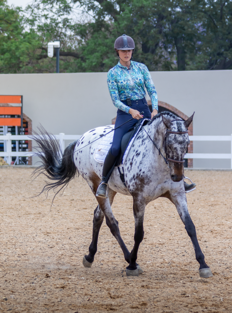 About Equine Lingo and Robyn Moolman